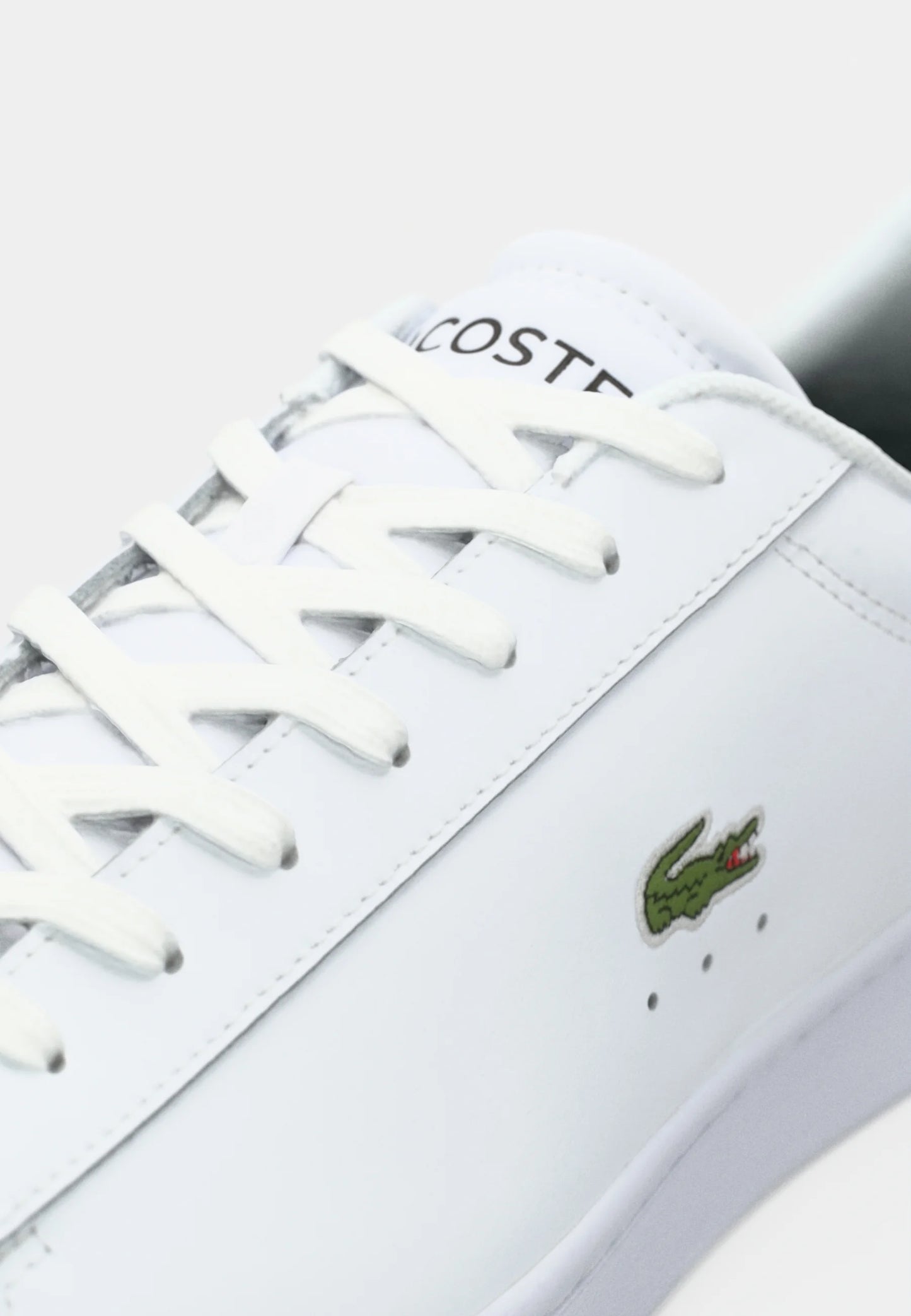 Lacoste - CARNABY SET 125 Baskets basses