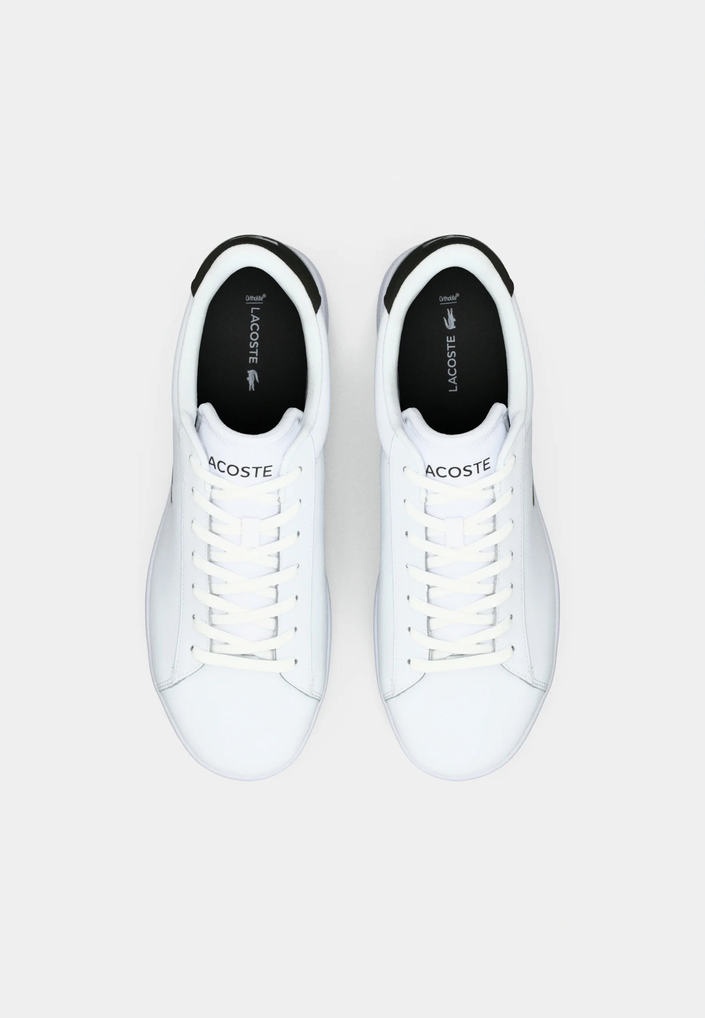 Lacoste - CARNABY SET 125 Baskets basses